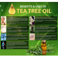 Label pribadi 100% minyak esensial pohon teh murni massal